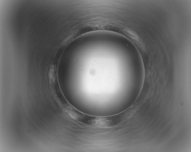 X0000071950121200607071220