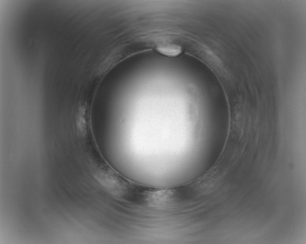 X0000071950122200607071220