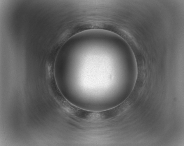 X0000071950123200607071220