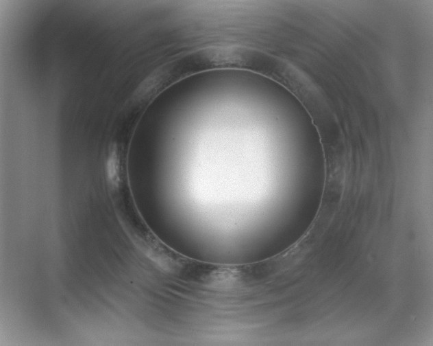 X0000071950124200607071220