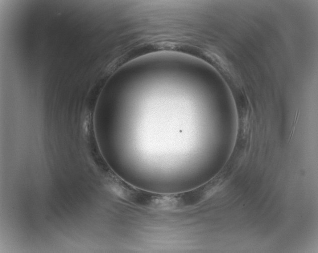 X0000071950125200607071220