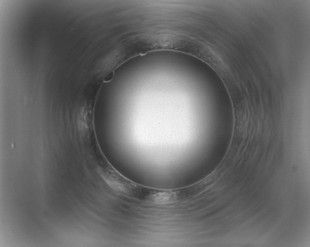 X0000071950126200607071220