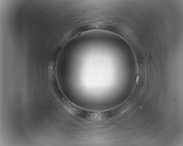 X0000071950127200607071220