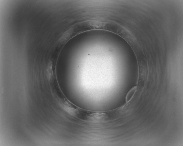 X0000071950128200607071220