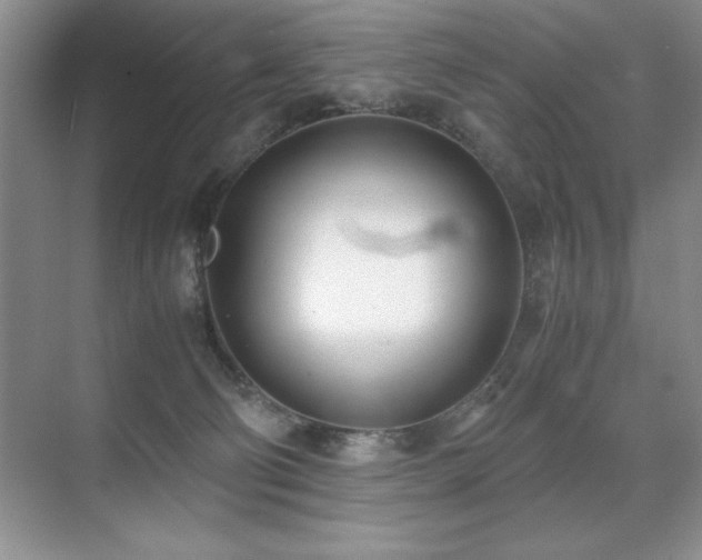 X0000071950130200607071220