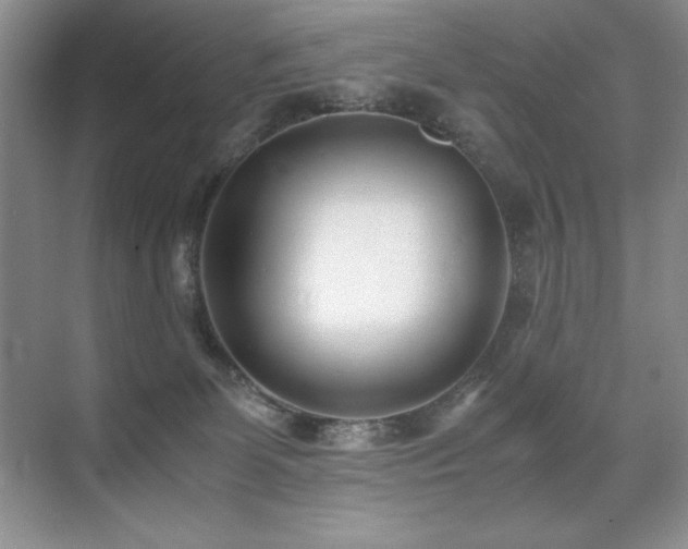 X0000071950131200607071220