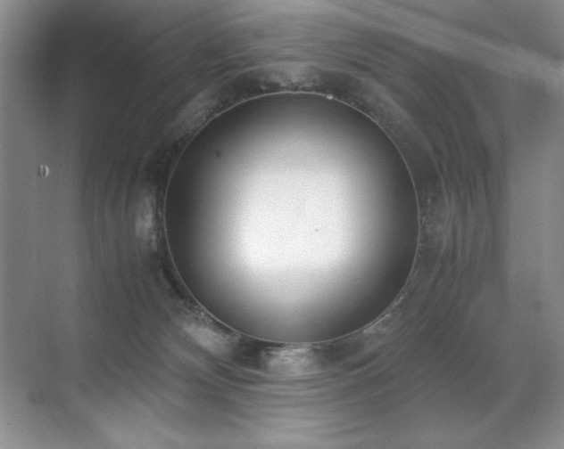 X0000071950132200607071220