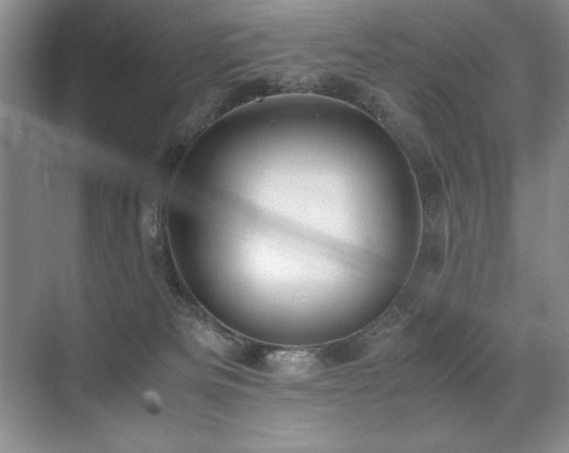 X0000071950133200607071220