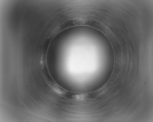 X0000071950134200607071220