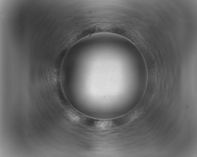 X0000071950135200607071220