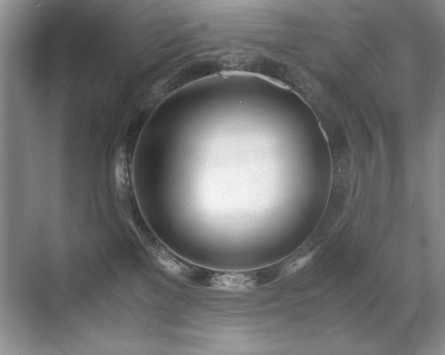 X0000071950137200607071220