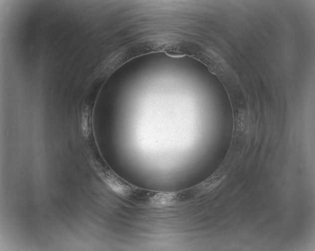 X0000071950138200607071220