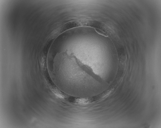 X0000071950139200607071220