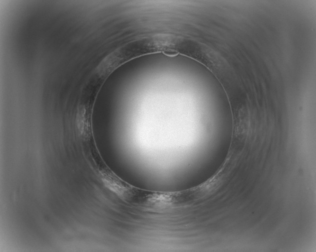 X0000071950140200607071220