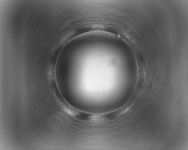 X0000071950141200607071220