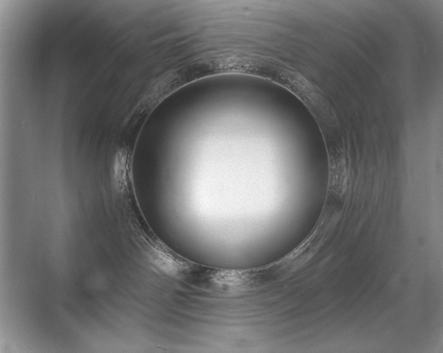 X0000071950142200607071220