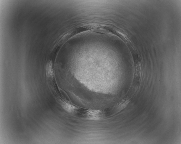 X0000071950143200607071220