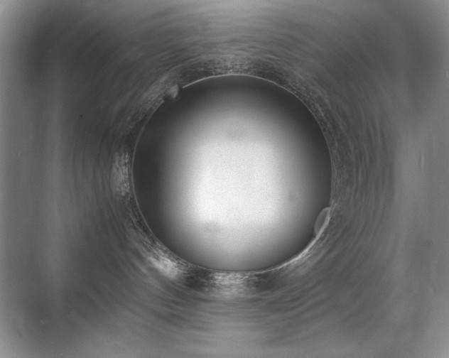 X0000071950144200607071220