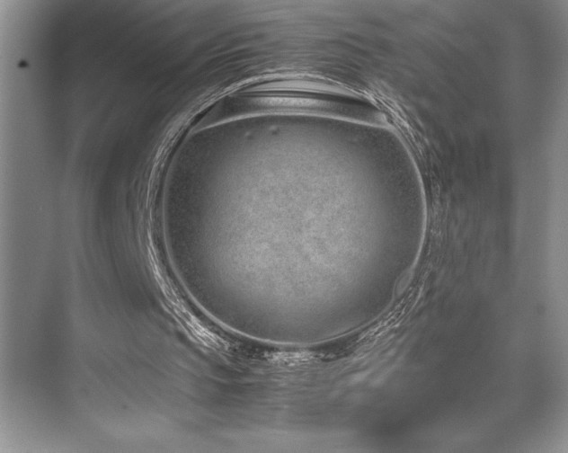 X0000071950145200607071219