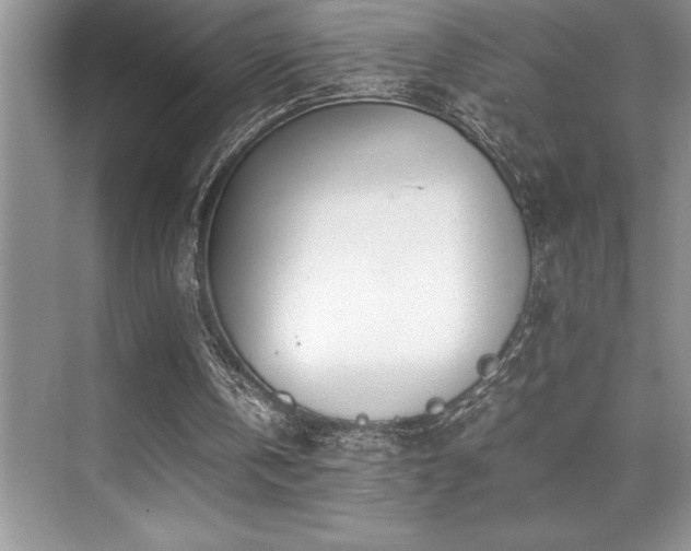 X0000071950146200607071219