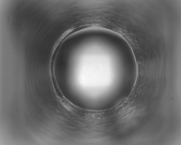 X0000071950147200607071219