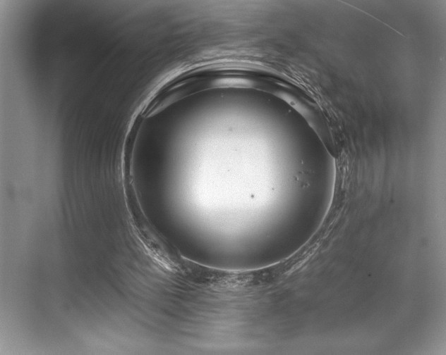 X0000071950148200607071219