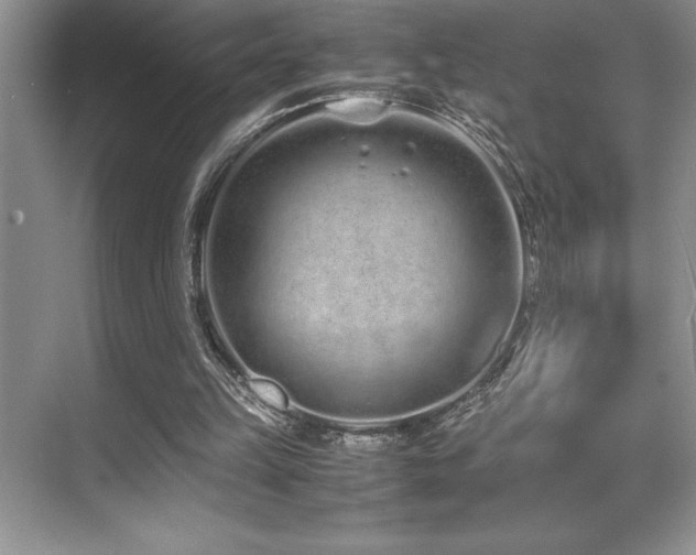 X0000071950149200607071219