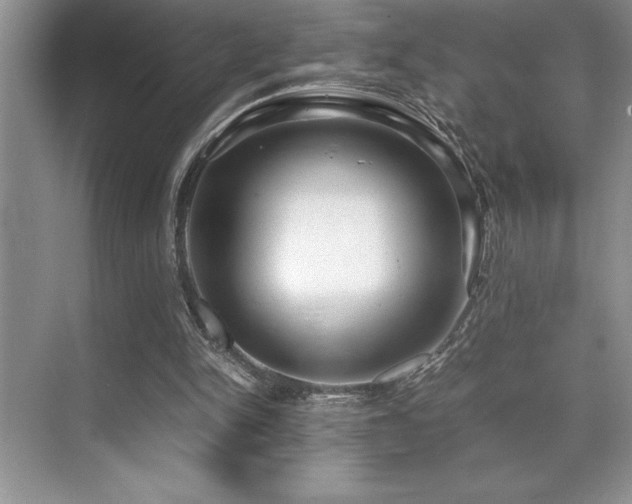 X0000071950150200607071219