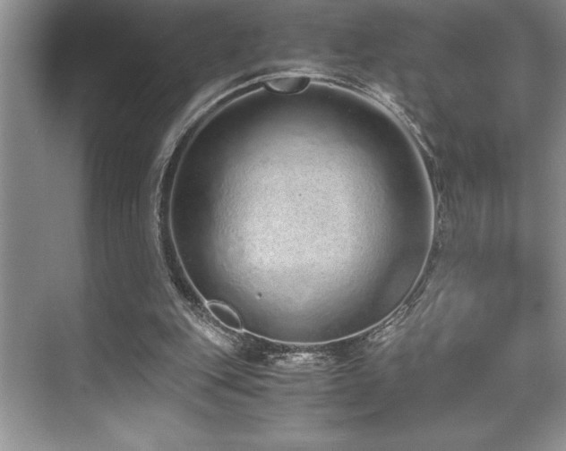 X0000071950151200607071219