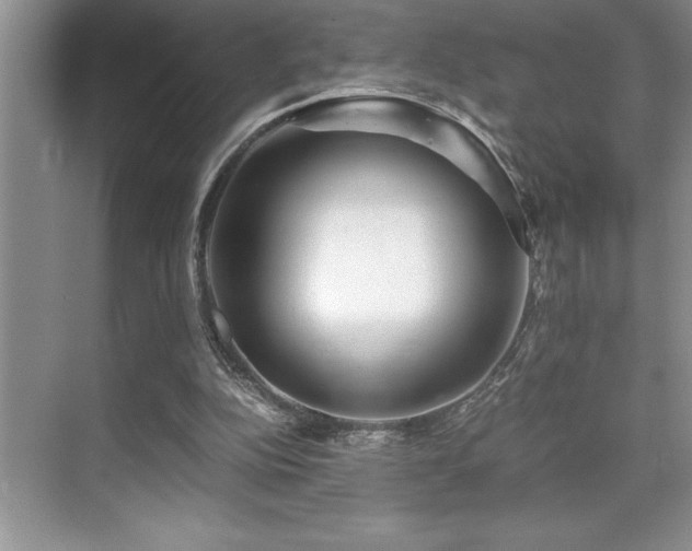 X0000071950152200607071219