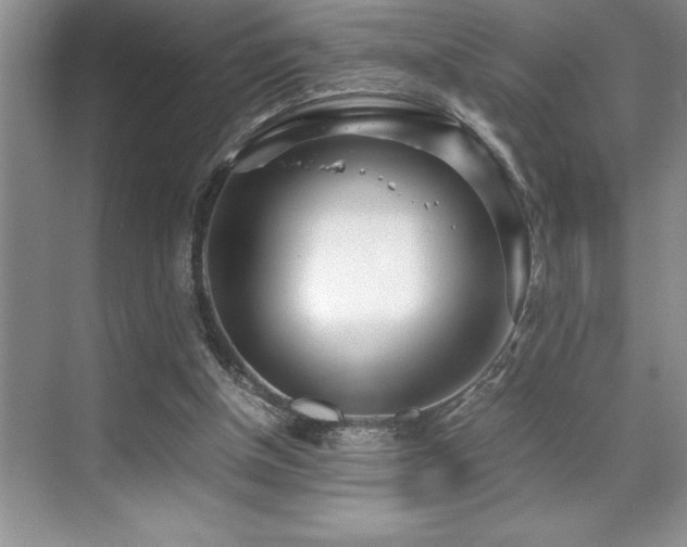 X0000071950154200607071219