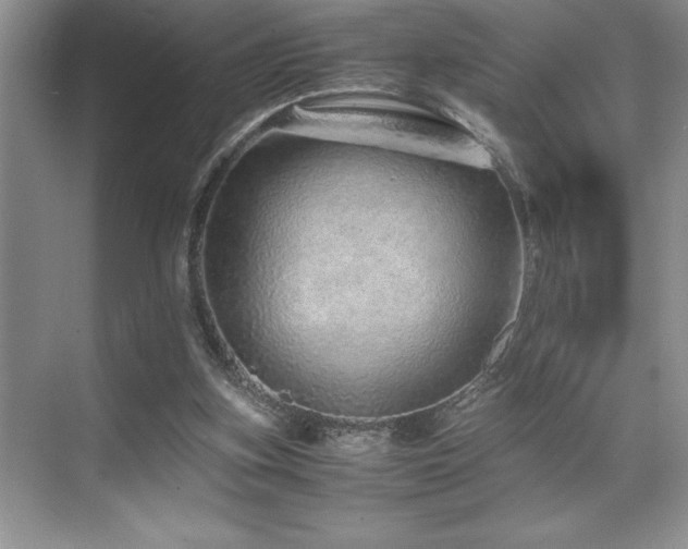 X0000071950155200607071219