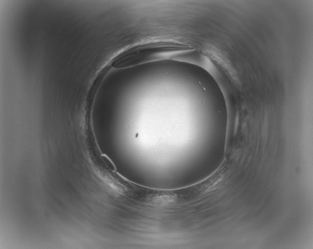 X0000071950156200607071219