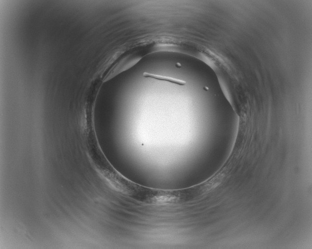 X0000071950158200607071219