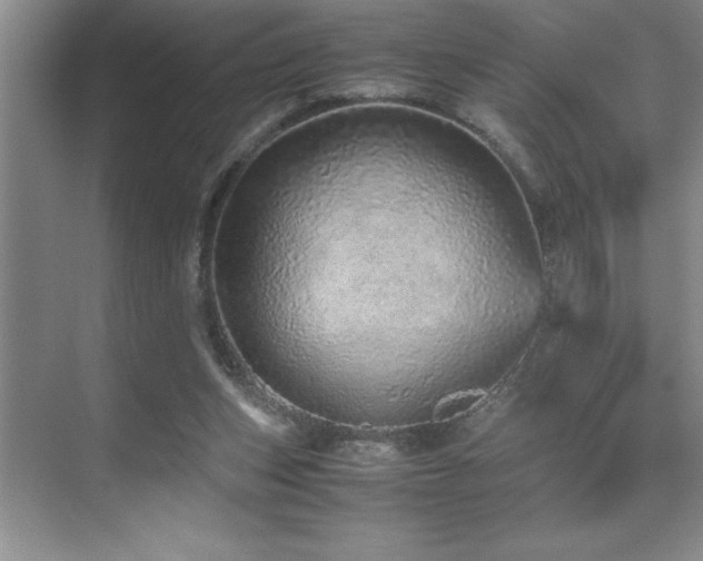 X0000071950159200607071219