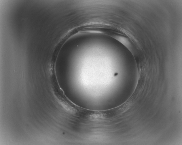 X0000071950160200607071219