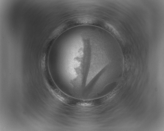 X0000071950163200607071219