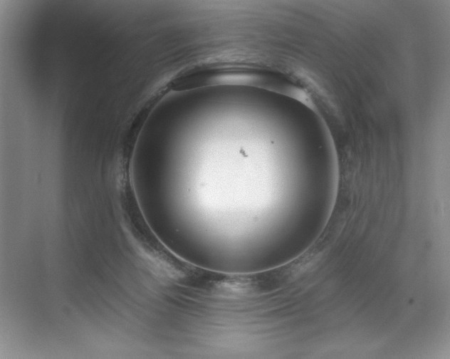 X0000071950164200607071219