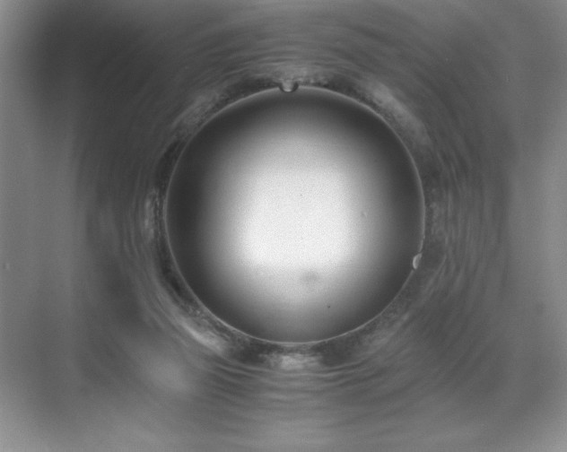 X0000071950165200607071219