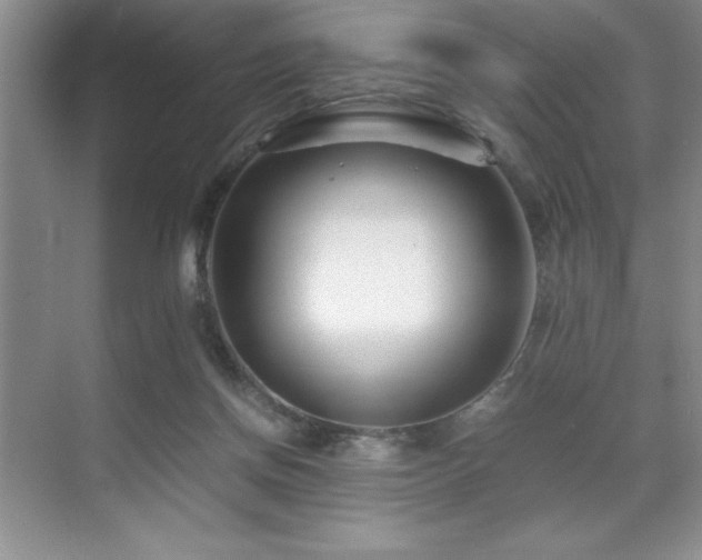 X0000071950166200607071219