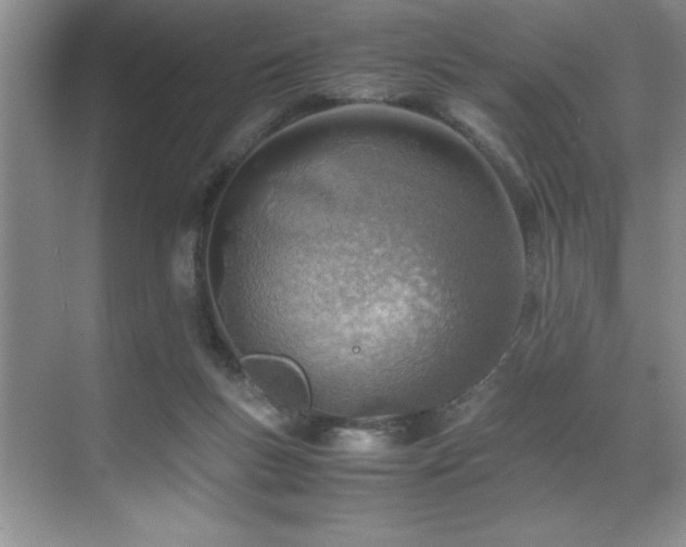 X0000071950167200607071219