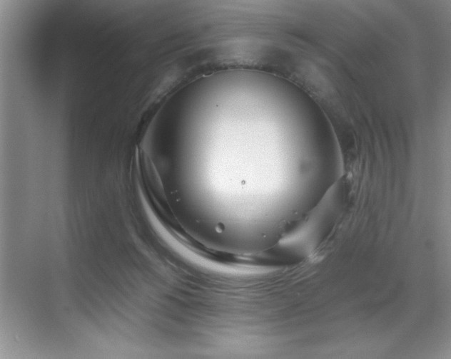 X0000071950168200607071219