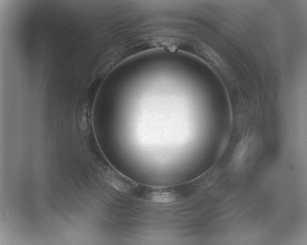 X0000071950169200607071219