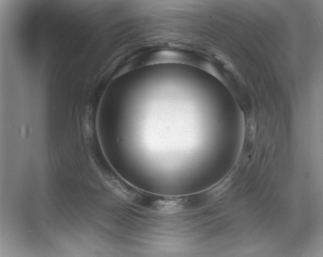 X0000071950170200607071219