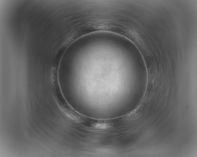 X0000071950171200607071219