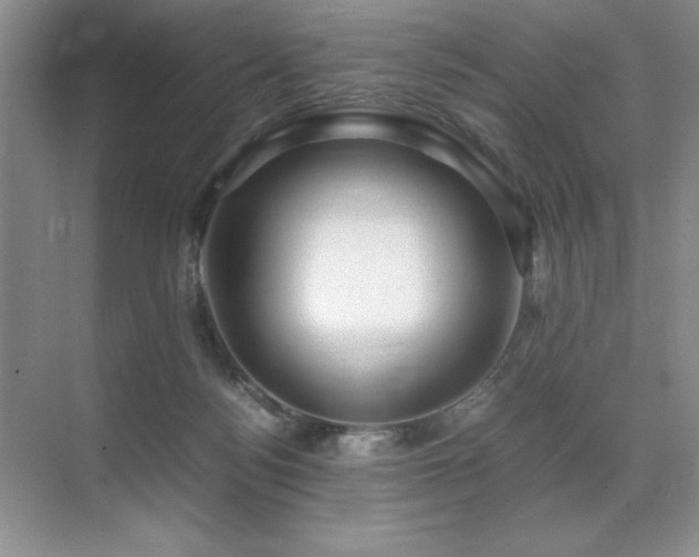 X0000071950172200607071219