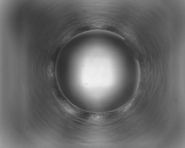 X0000071950174200607071219