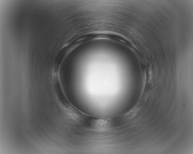 X0000071950176200607071219