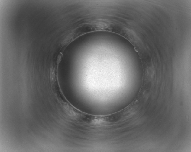 X0000071950177200607071219