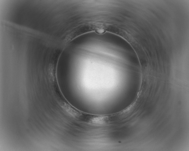 X0000071950178200607071219